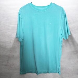 American Eagle Outfitters Men's Mint Green/teal Tee